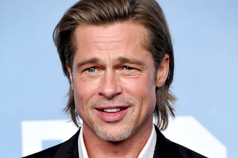 Brad Pitt haircut Hedgehog
