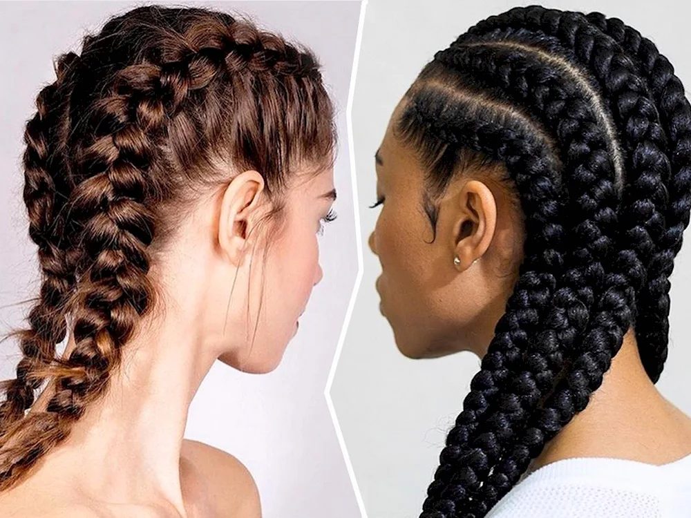 Braids 6 braids