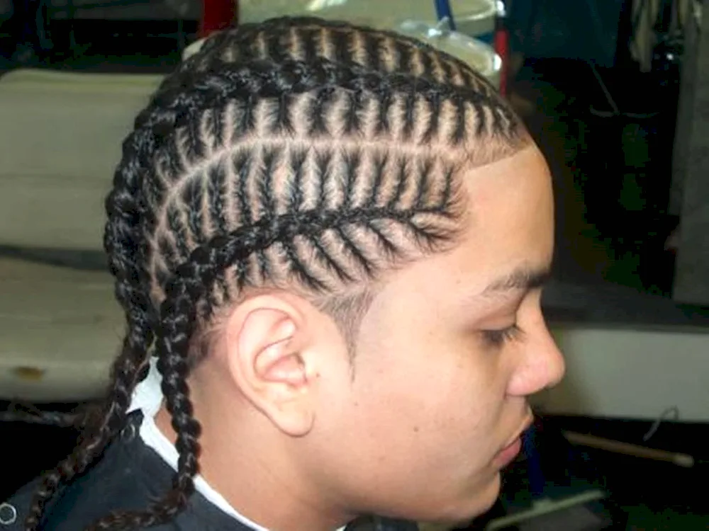 Braids Carl