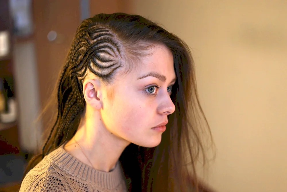 Braids on temples