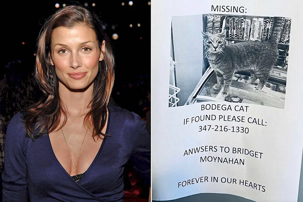 Bridget Moynahan