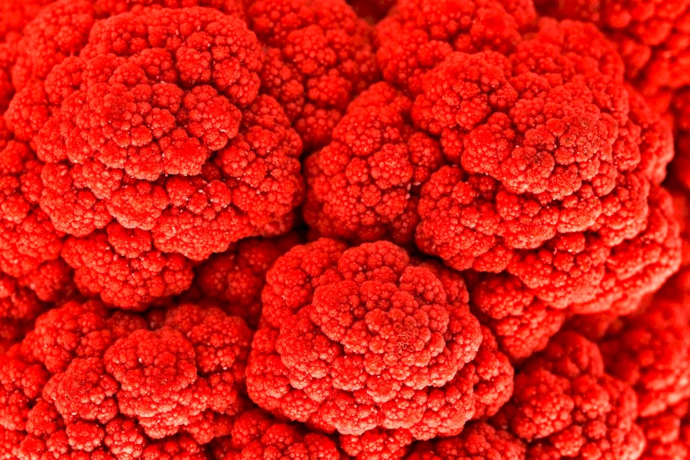 Fruits of red colour