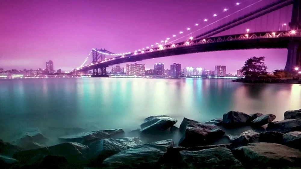 Brooklyn Bridge New York York in purple