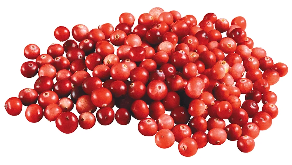 Lingonberries on a white background