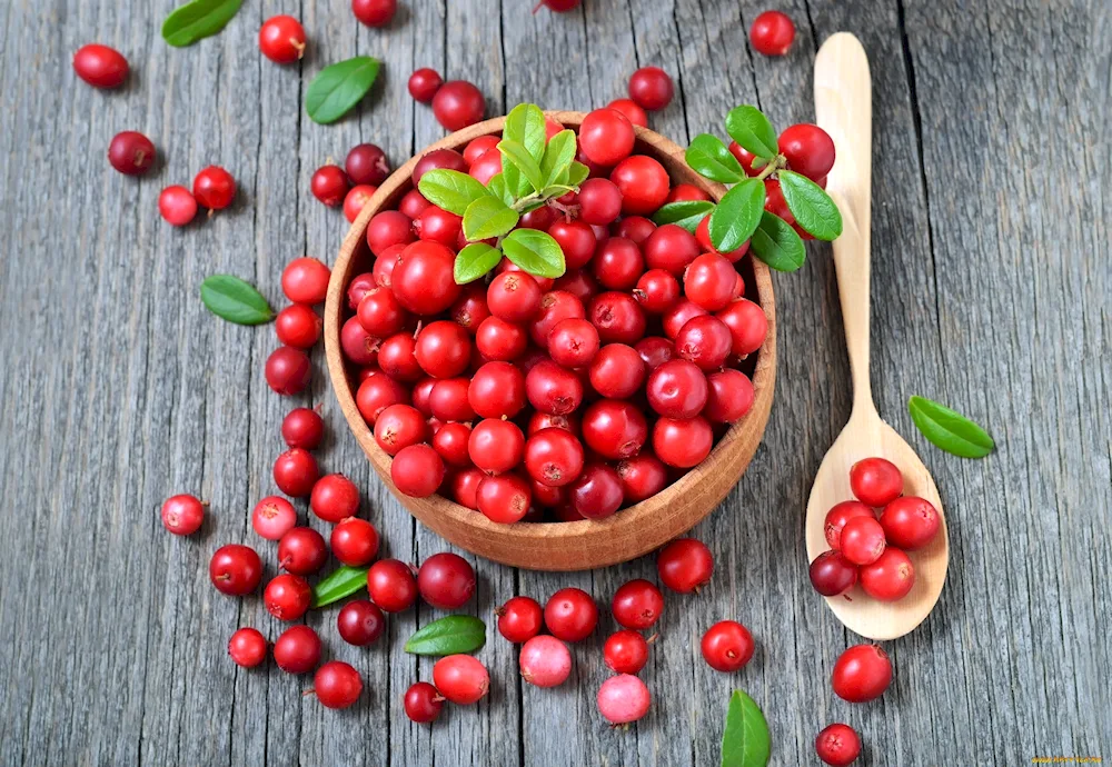 Lingonberry berry