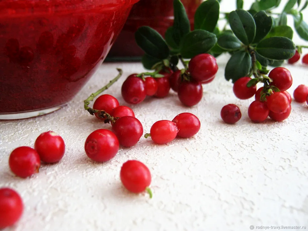 Buckleberries and cranberries