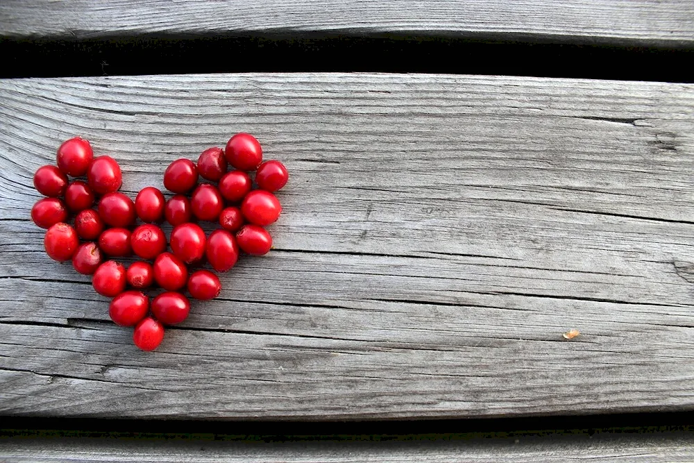 Lingonberry heart