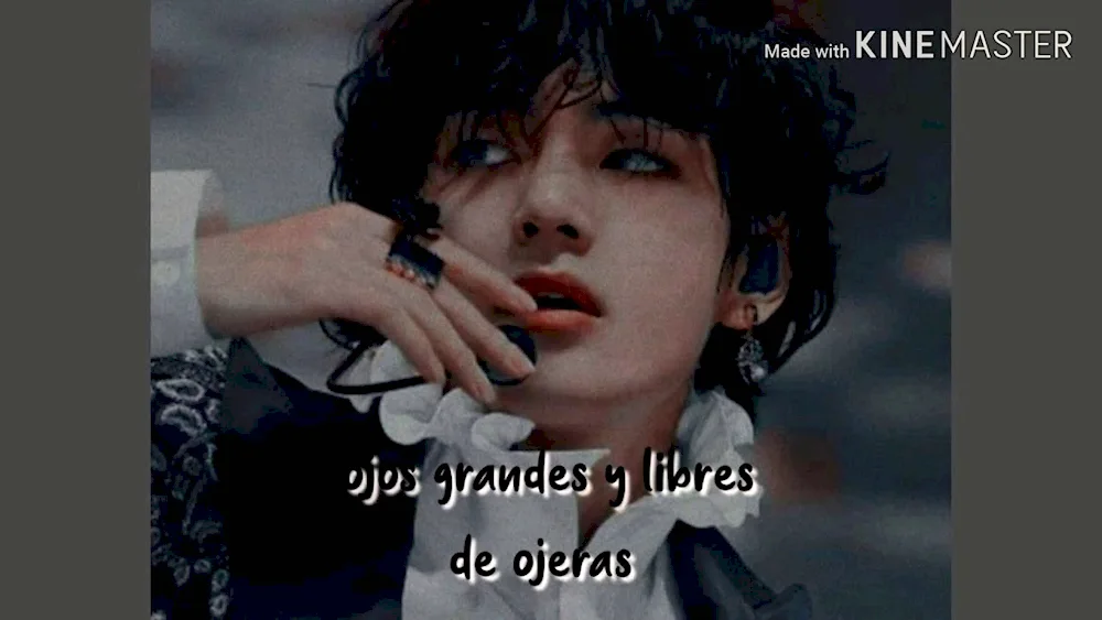 Stray Kids Chan