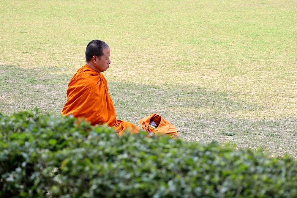Bald Shaolin monk