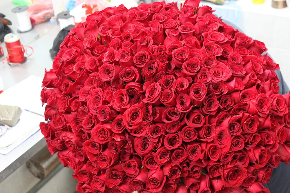 Bouquet of 1001 roses