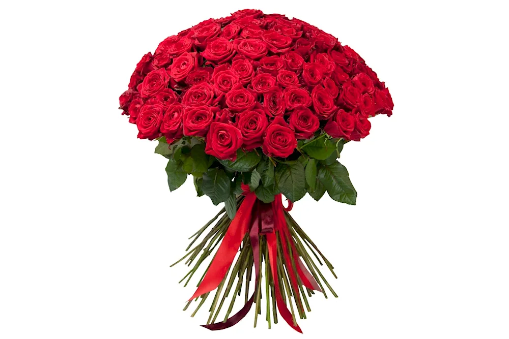 A bouquet of scarlet roses 101