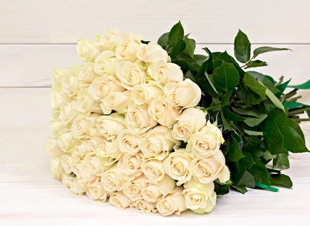 Bouquet of white roses