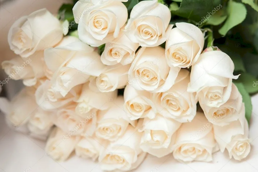 White rose bouquet