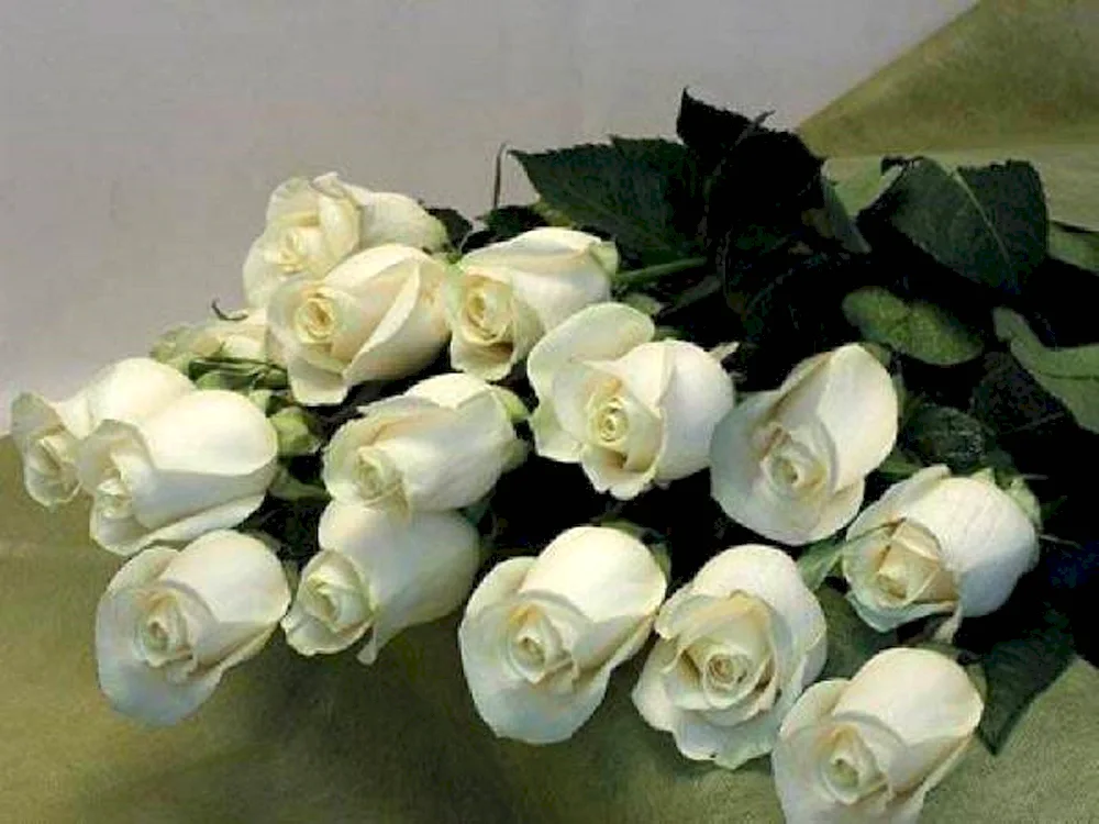 Huge bouquet of white roses