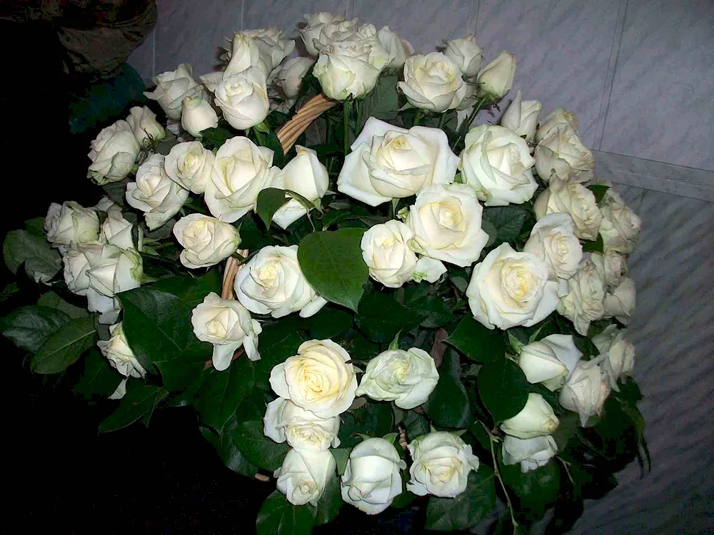 Bouquet of white roses