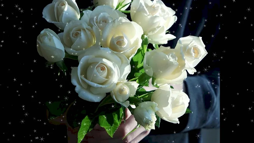 Gorgeous bouquet of white roses