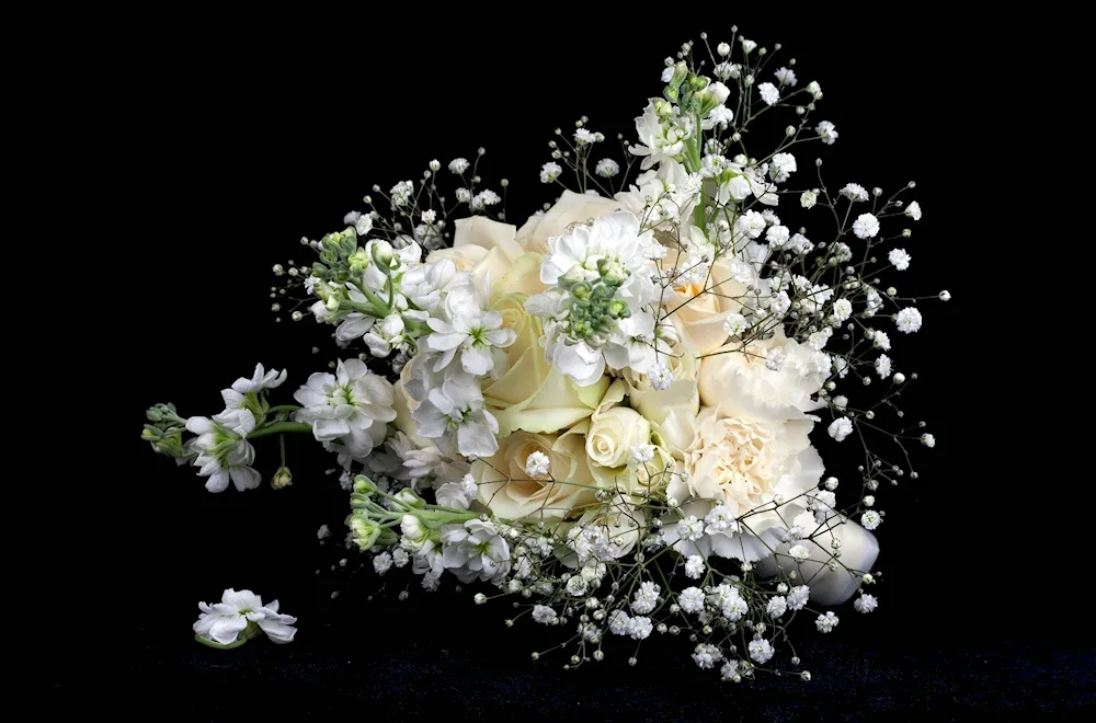 White roses with gypsophila