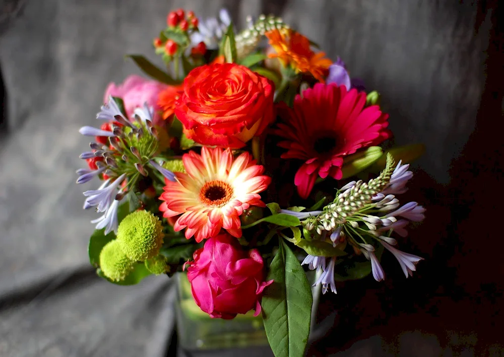 Gerberas and daisies