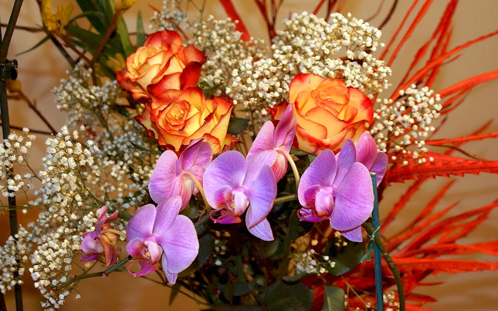 Hypsophila and Orchid bouquet