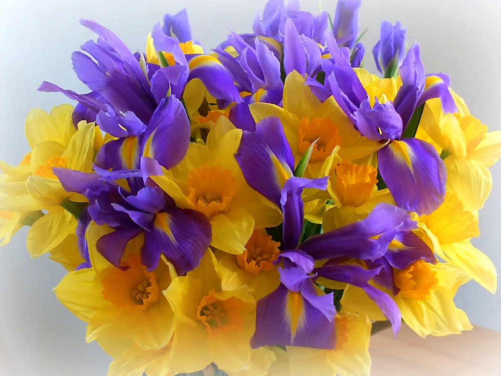 Iris bouquet