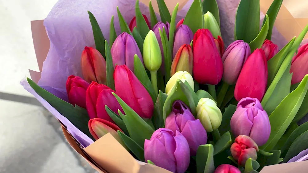 Bouquet of 25 tulips