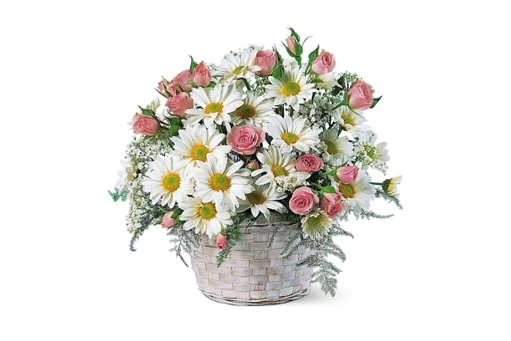 Daisy bouquet