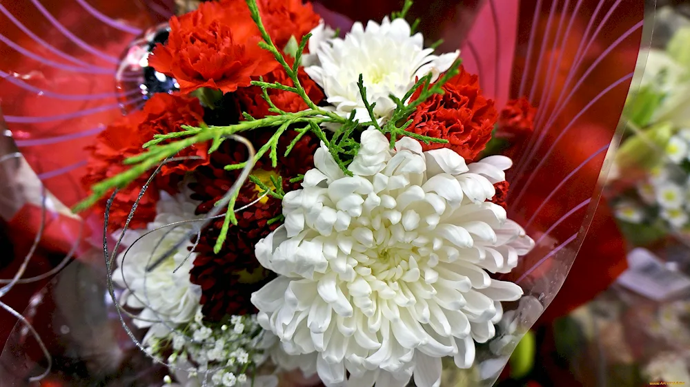 Chrysanthemum bouquet