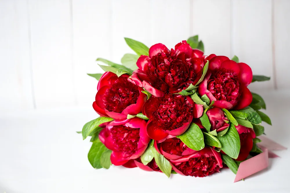 Small flowered bush rose red