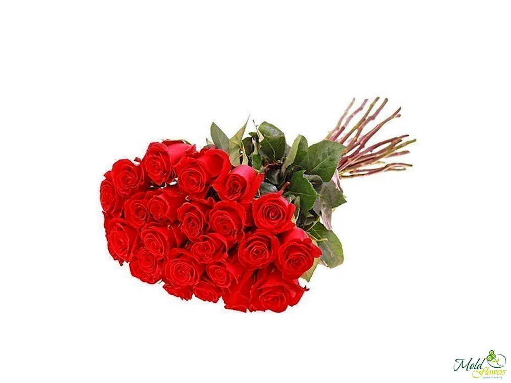 Bouquet of roses lying