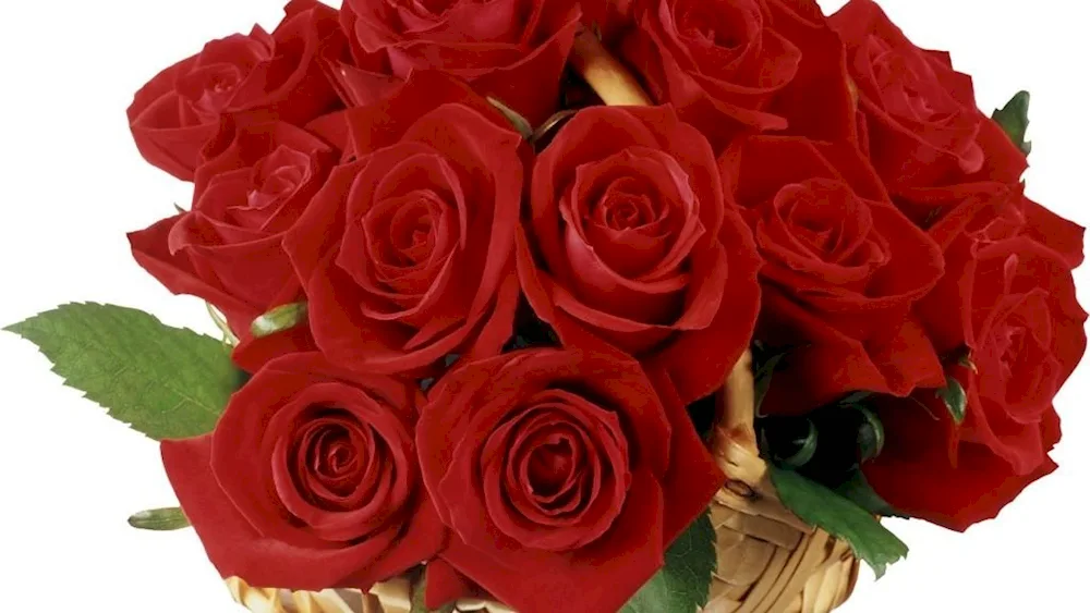 A bouquet of red roses.