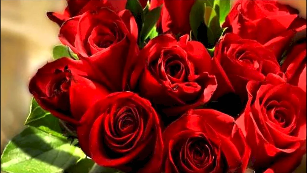 Bouquet of red roses