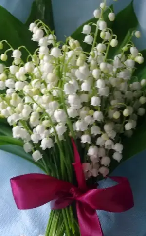 Lily of the valley