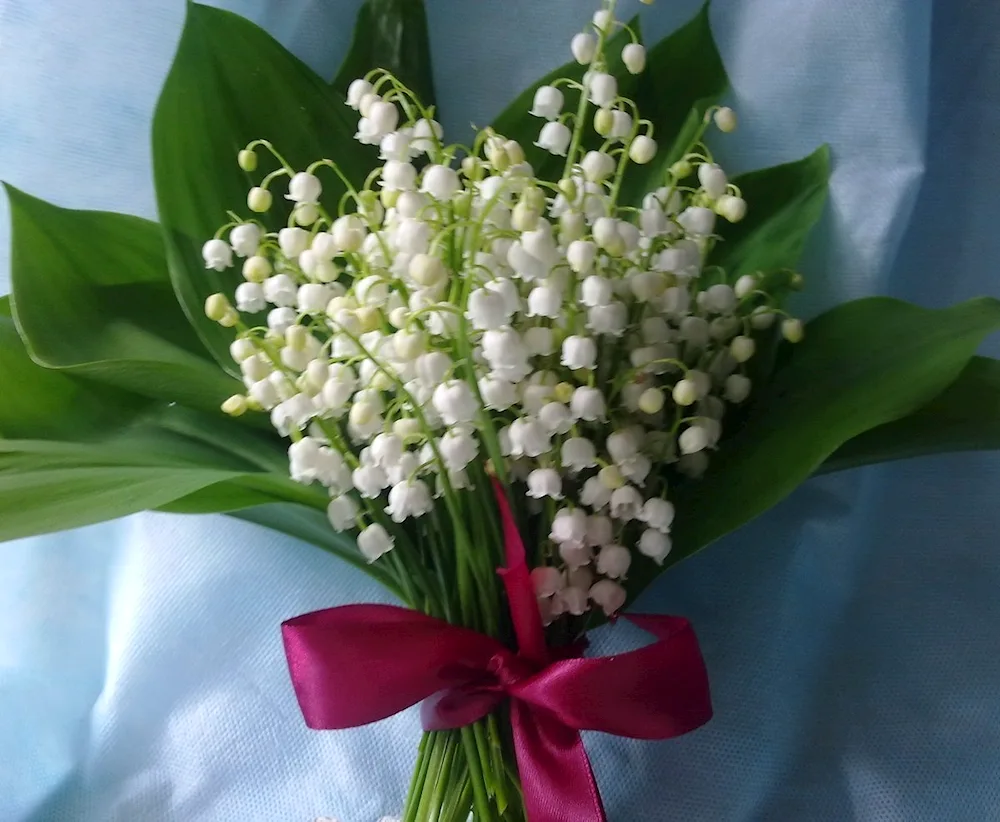 Lily of the valley