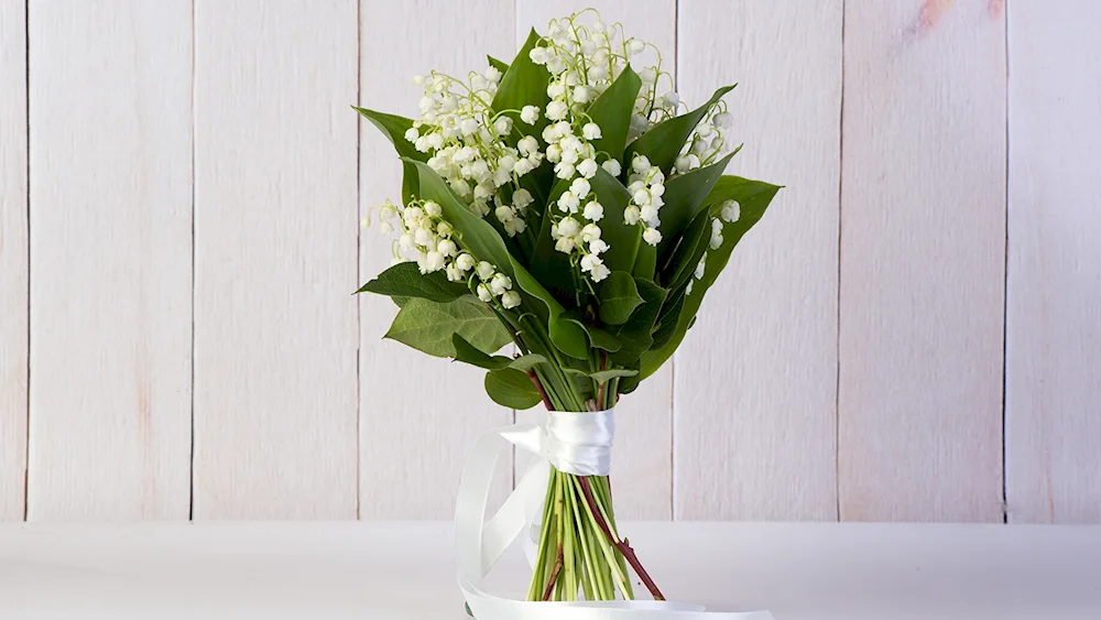 Lily of the valley