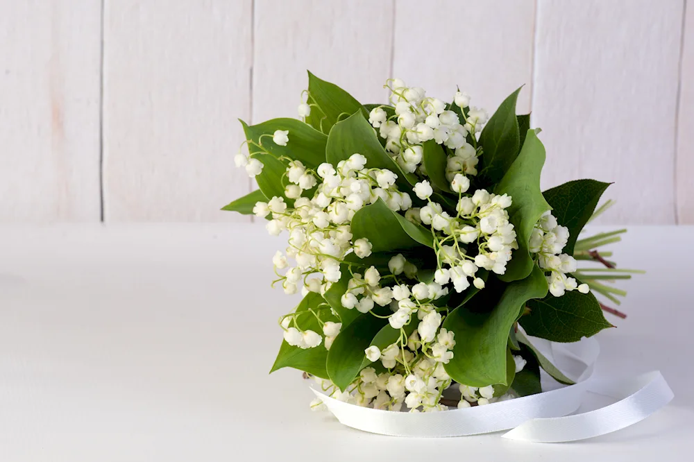 Lily of the valley