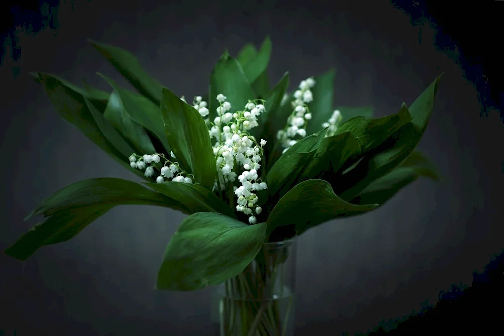 Still life with flowers