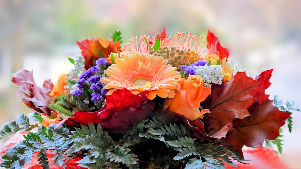 A bouquet of autumn chrysanthemums