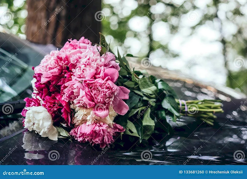 Bouquet of peonies on the bonnet