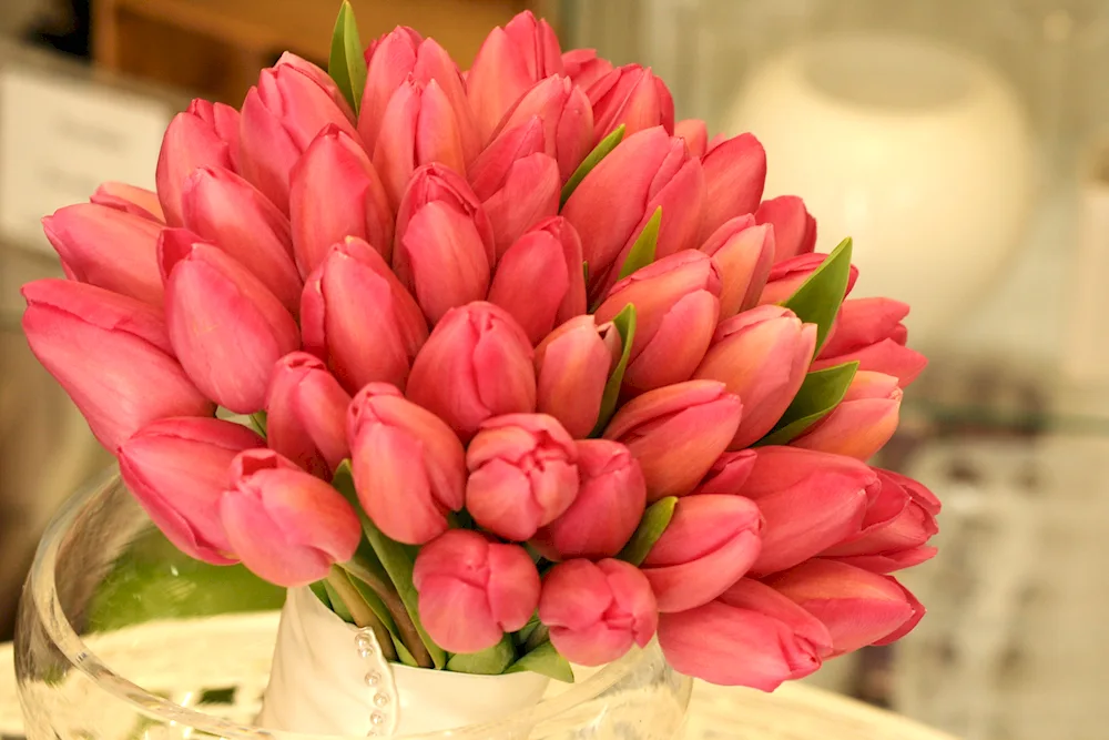 Pion-shaped tulips