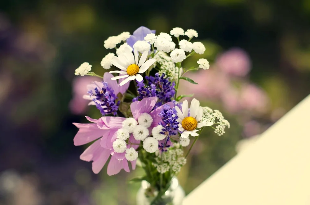 Bouquet of wildflowers