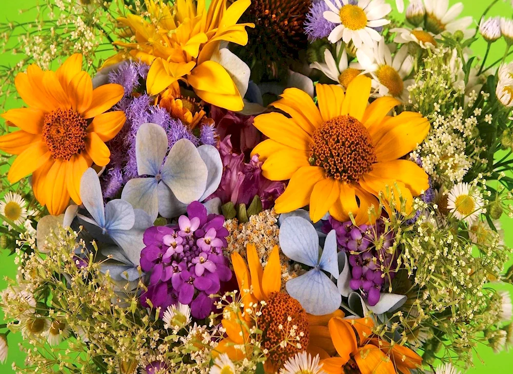 Bouquet of wildflowers