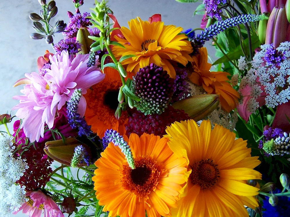 Bouquet of wildflowers