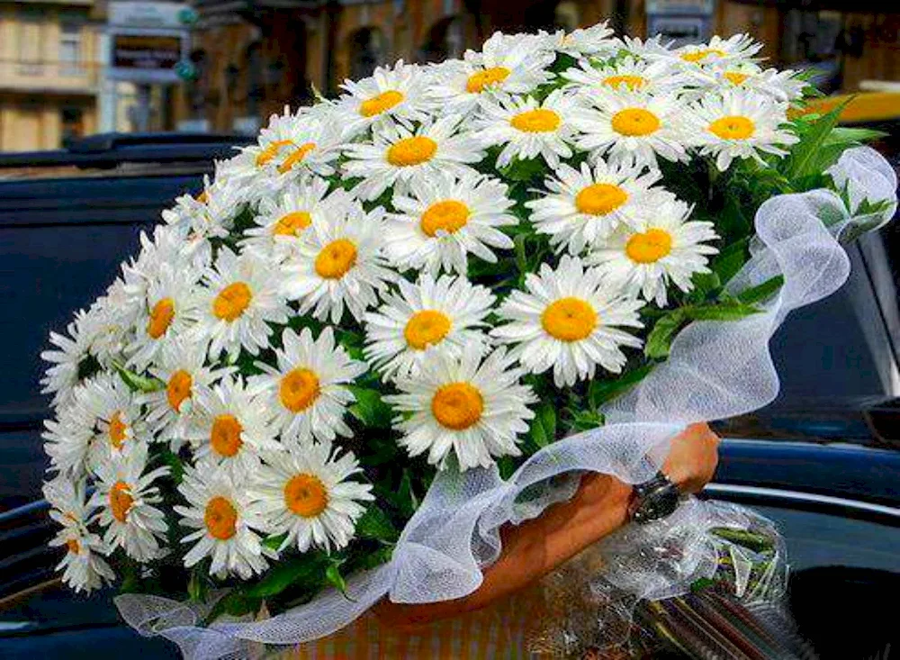 Daisy bouquet