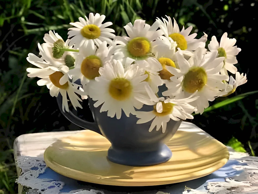 Daisy bouquet