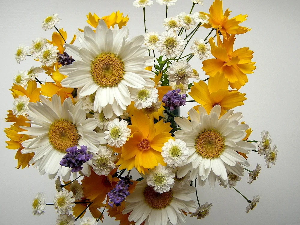 Field flower bouquet