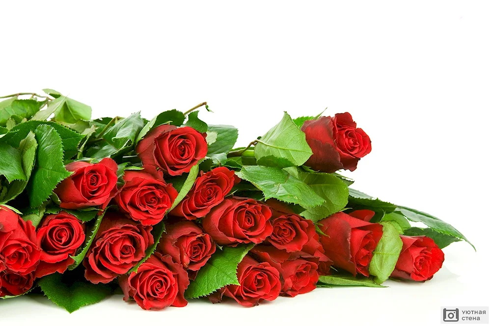 Bouquet of red roses