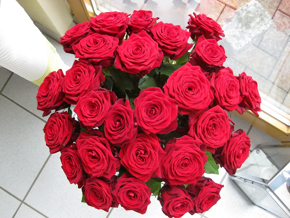 Bouquet of roses