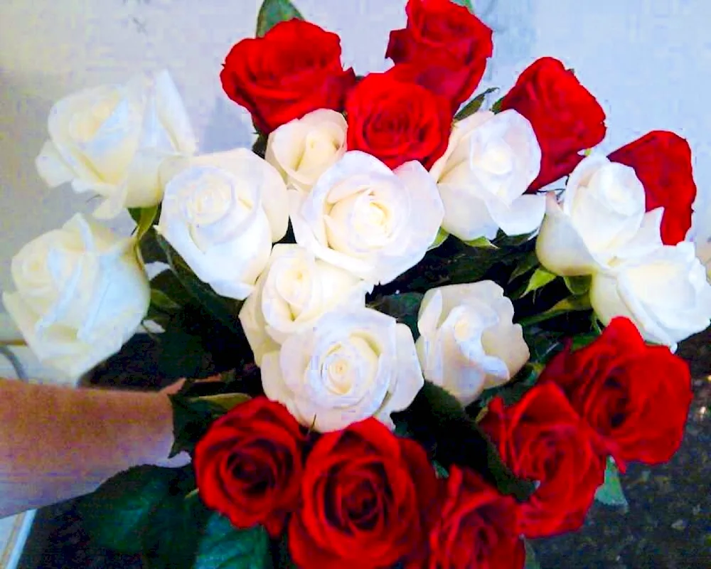 Bouquet of roses at home