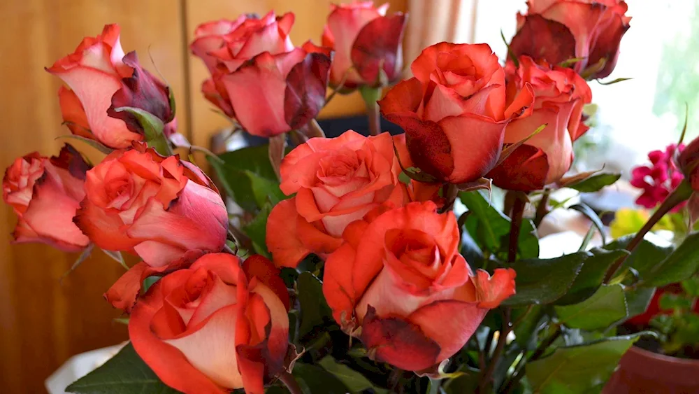 Bouquet of flowers on the windowsill