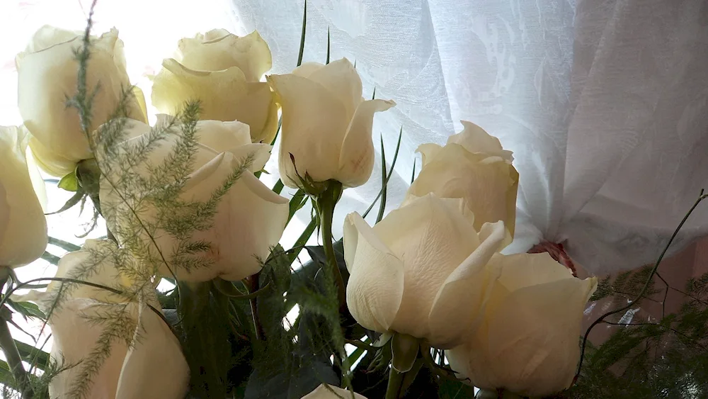 A bouquet of roses on the window